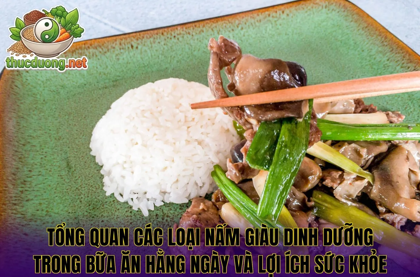 Tổng quan các loại nấm giàu dinh dưỡng trong bữa ăn hằng ngày và lợi ích sức khỏe