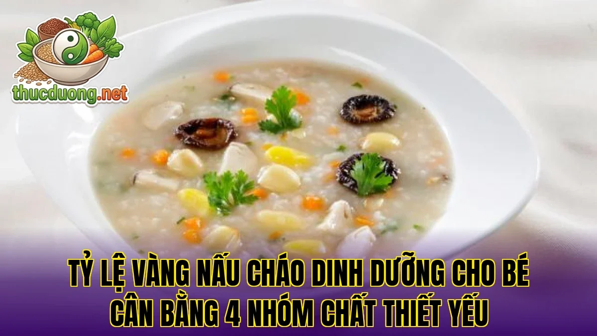 Tỷ lệ vàng nấu cháo dinh dưỡng cho bé cân bằng 4 nhóm chất thiết yếu
