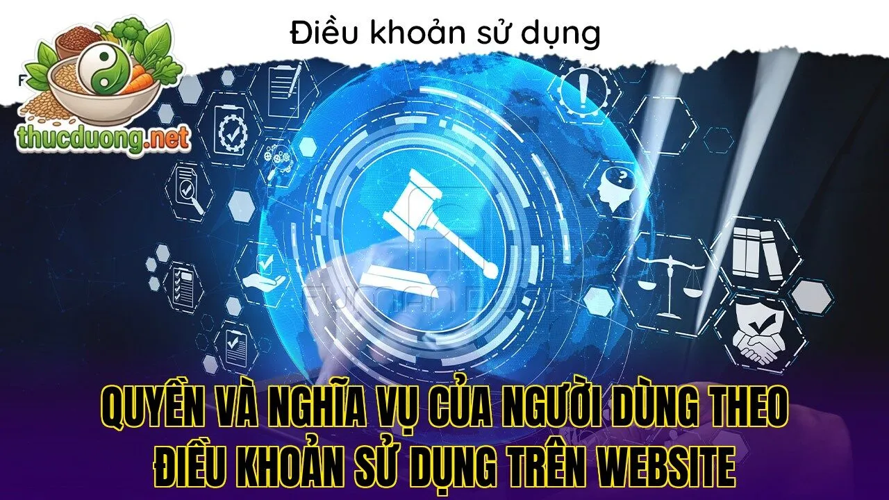 Quyền và nghĩa vụ của người dùng theo điều khoản sử dụng trên website