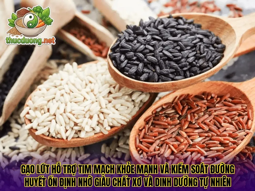 Gạo lứt hỗ trợ tim mạch khỏe mạnh và kiểm soát đường huyết ổn định nhờ giàu chất xơ và dinh dưỡng tự nhiên