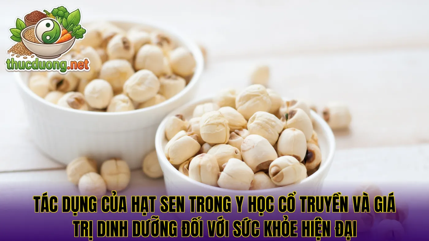 Tác dụng của hạt sen trong y học cổ truyền và giá trị dinh dưỡng đối với sức khỏe hiện đại