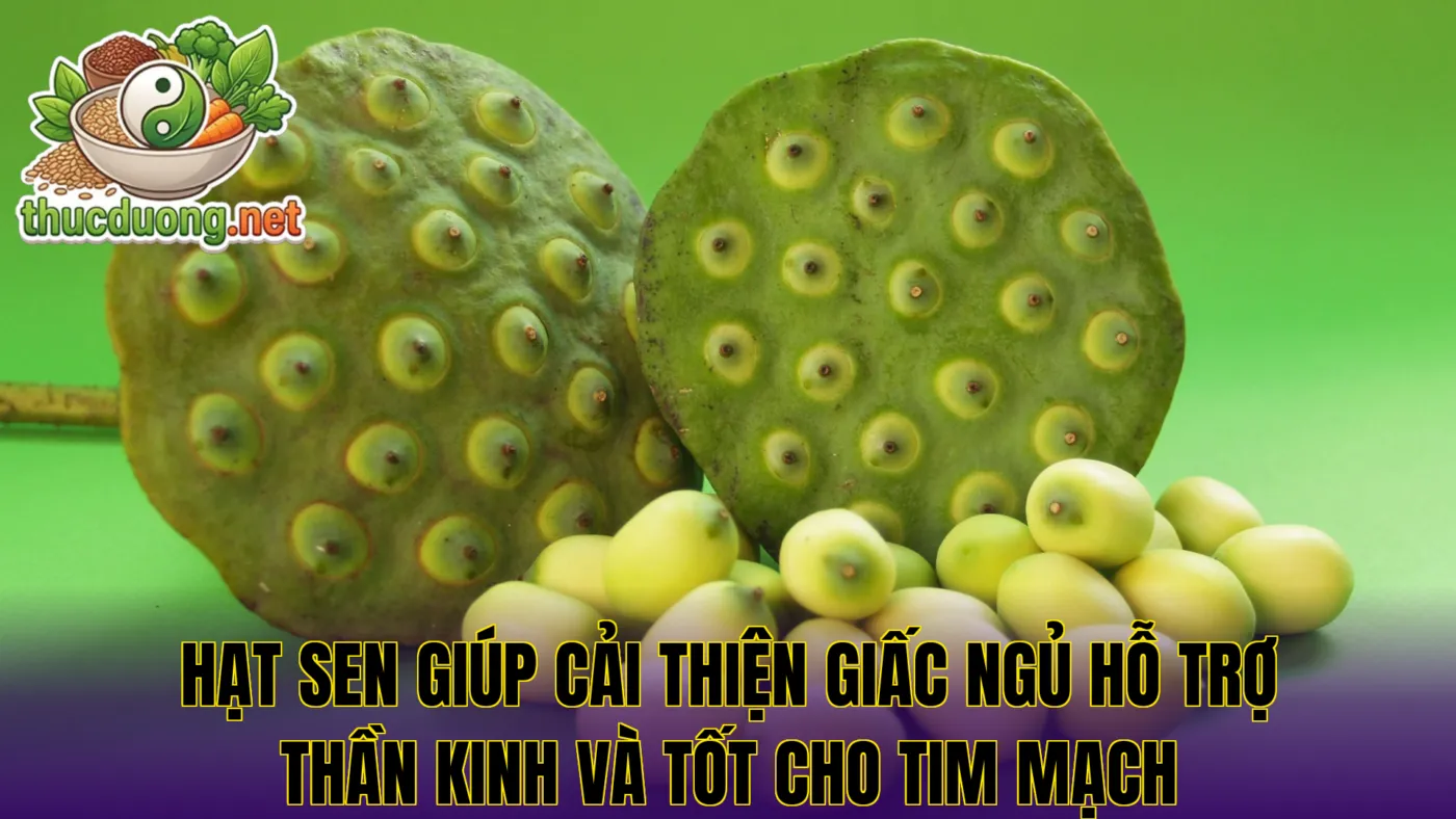 Hạt sen giúp cải thiện giấc ngủ hỗ trợ thần kinh và tốt cho tim mạch
