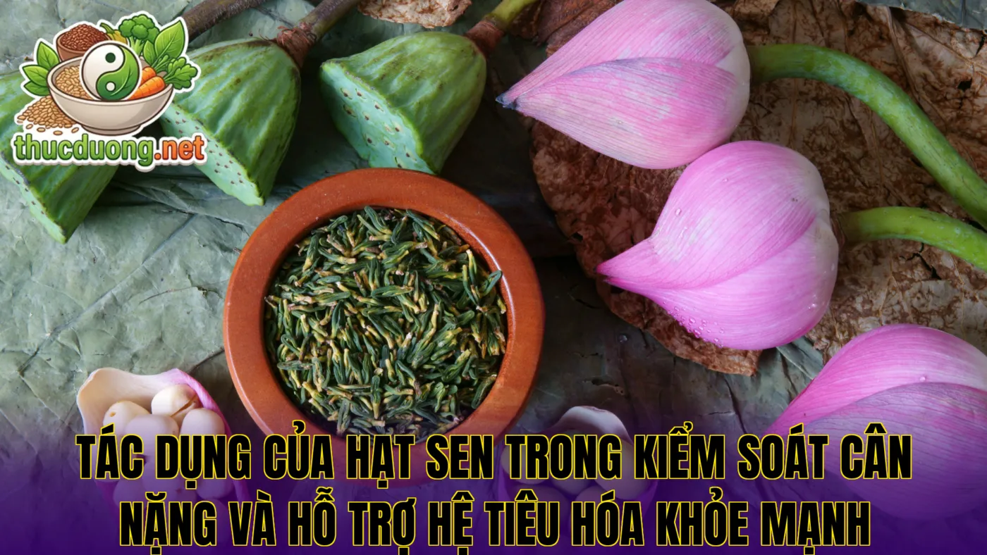 Tác dụng của hạt sen trong kiểm soát cân nặng và hỗ trợ hệ tiêu hóa khỏe mạnh