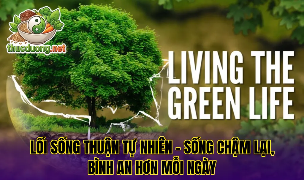 Lối sống thuận tự nhiên – Sống chậm lại, bình an hơn mỗi ngày