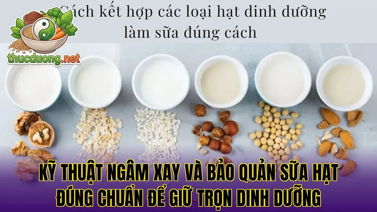 Kỹ thuật ngâm xay và bảo quản sữa hạt đúng chuẩn để giữ trọn dinh dưỡng