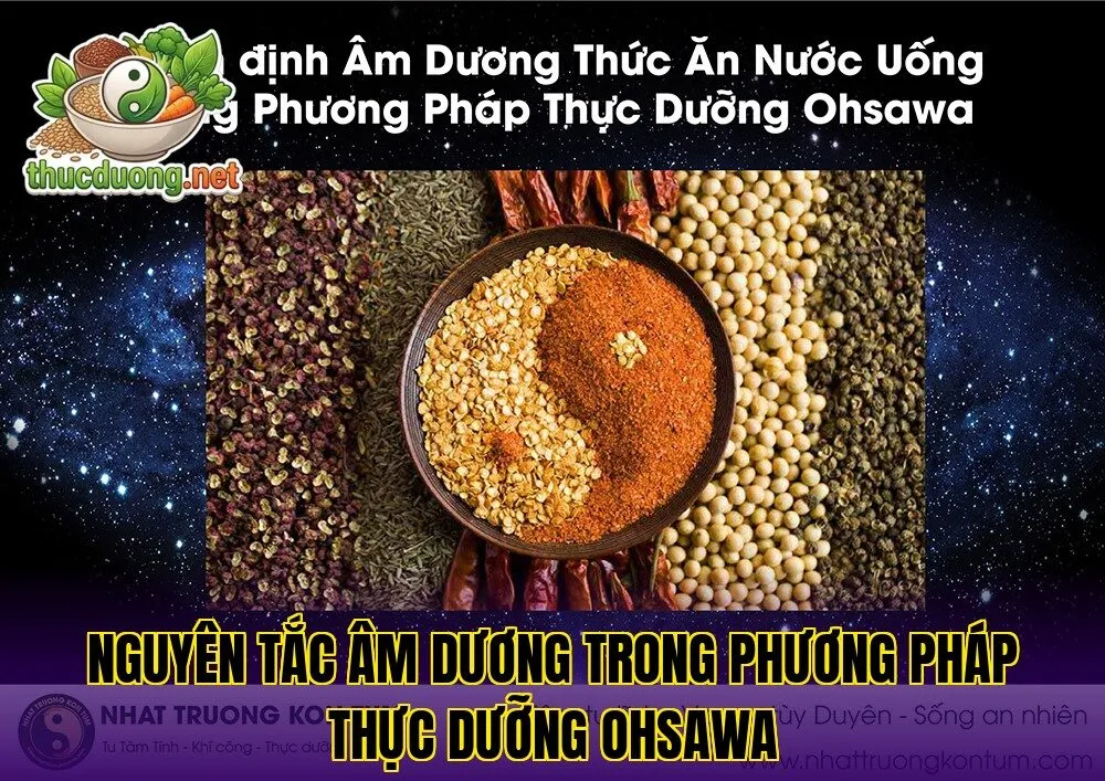 Nguyên tắc âm dương trong phương pháp thực dưỡng Ohsawa
