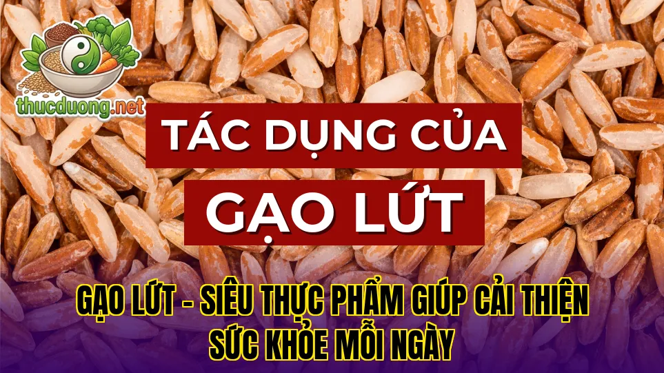 Gạo lứt – Siêu thực phẩm giúp cải thiện sức khỏe mỗi ngày