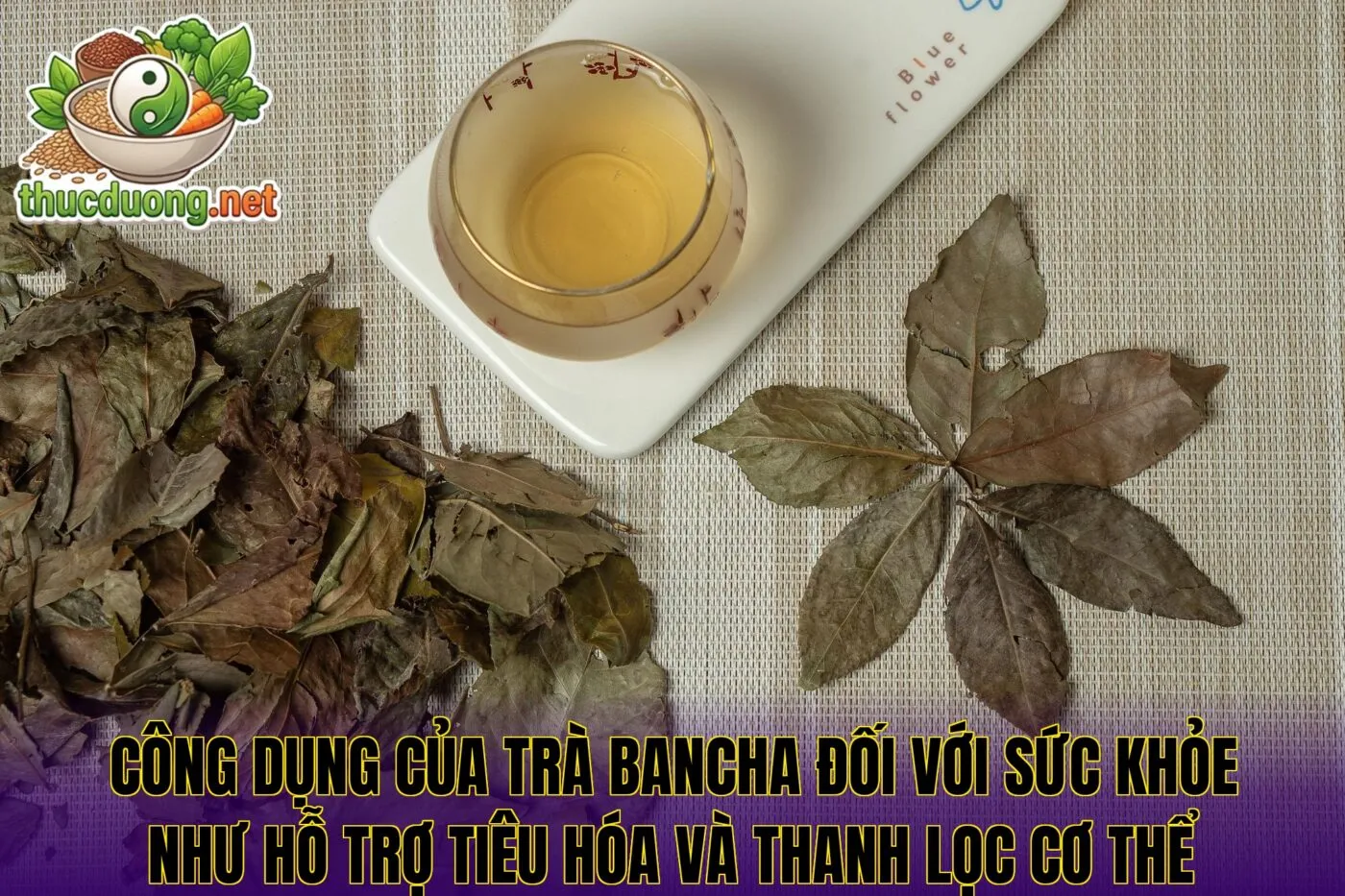 Công dụng của trà bancha đối với sức khỏe như hỗ trợ tiêu hóa và thanh lọc cơ thể