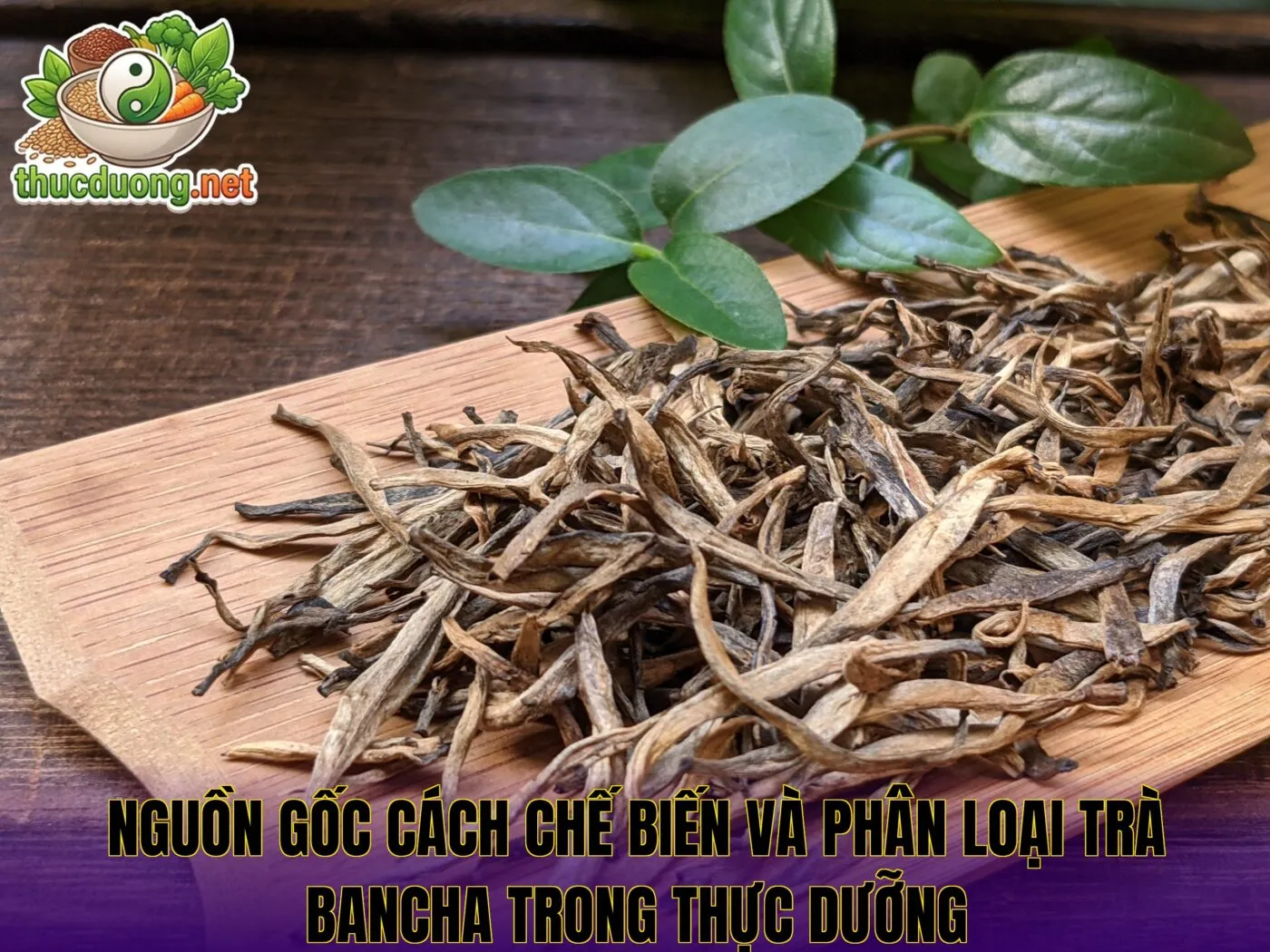 Nguồn gốc cách chế biến và phân loại trà bancha trong thực dưỡng