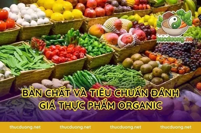 Bản Chất Và Tiêu Chuẩn Đánh Giá Thực Phẩm Organic