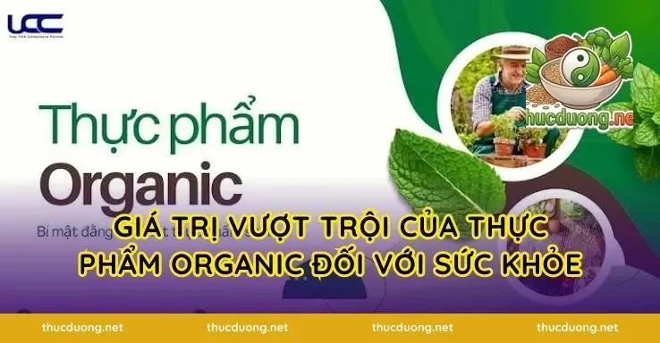 Giá Trị Vượt Trội Của Thực Phẩm Organic Đối Với Sức Khỏe