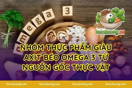 Nhóm thực phẩm giàu axit béo omega 3 từ nguồn gốc thực vật
